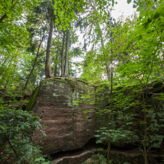 Der alte Steinbruch ist nun ein Naturidyll.