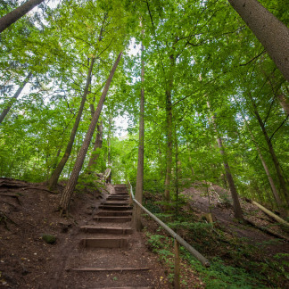aufstieg zum Schmausenbuckturm.