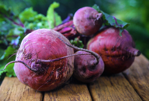 Rote Beete © desertrose7 / pixabay