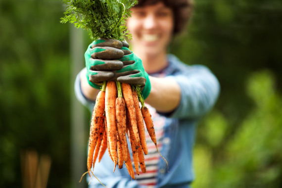 Junge Frau mit frisch geernteten Karotten.