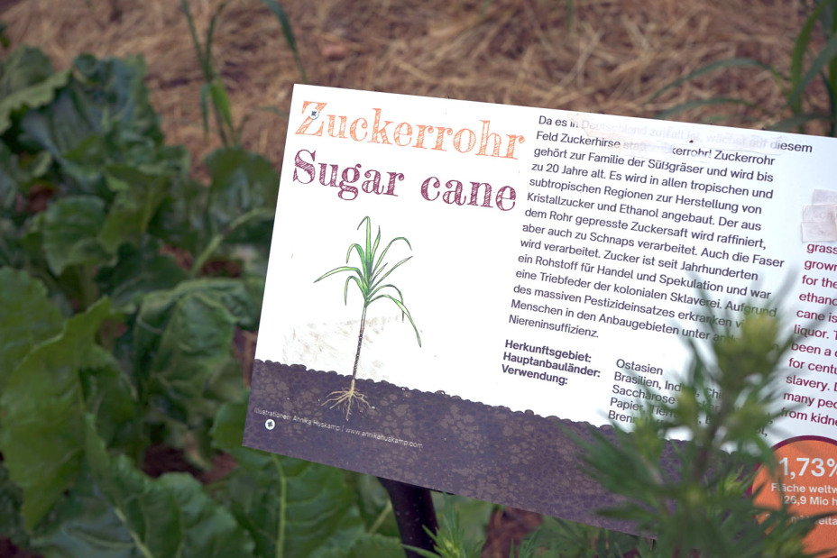 Weltacker in Nürnberg., Bild © Leopold Werner / Stadt Nürnberg