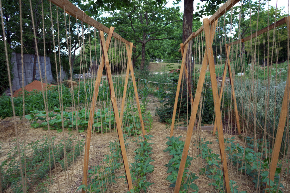 Weltacker in Nürnberg, Bild © Leopold Werner / Stadt Nürnberg