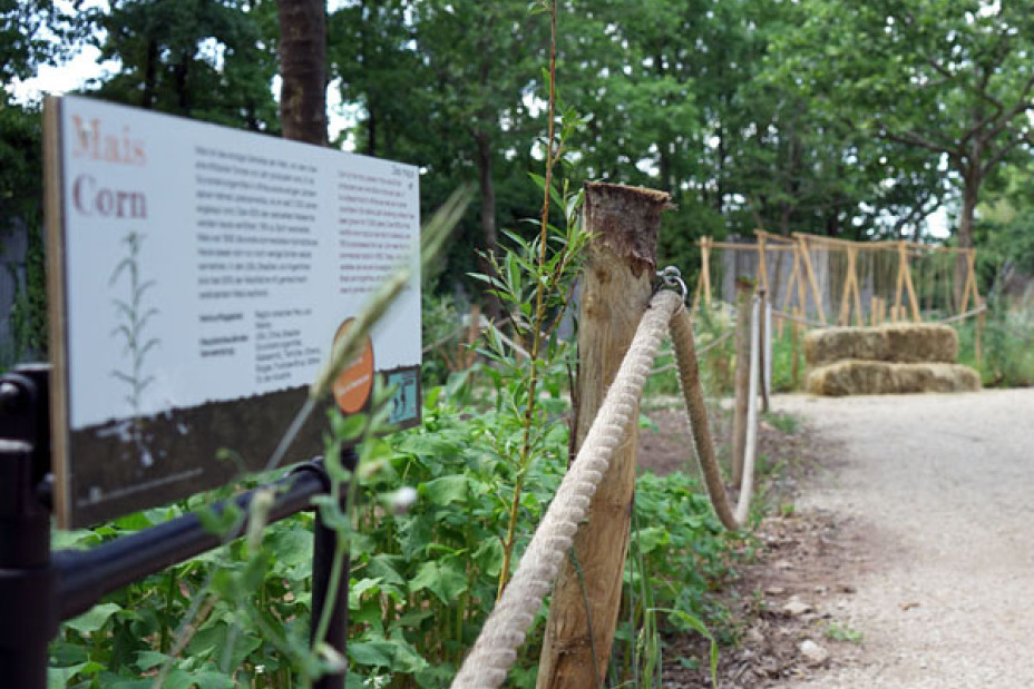 Ein ehemaliger Parkplatz am Westpark ist nun Ort für den „Weltacker“ in Nürnberg., Bild © Leopold Werner / Stadt Nürnberg