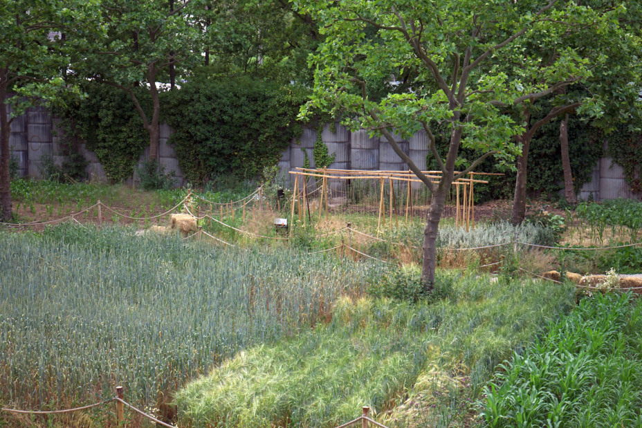 Weltacker in Nürnberg., Bild © Leopold Werner / Stadt Nürnberg