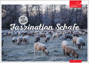 Schafbroschüre Faszination Schafe
