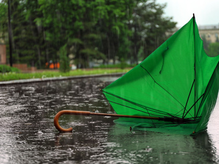 Bild © AdobeStock Foto: Ein kaputter Regen·schirm liegt auf der Straße. Es regnet stark., Bild © AdobeStock