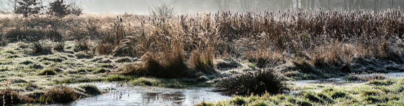 Das Gründlachtal im Winter.