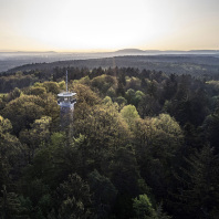 Blick über den Nürnberger Reichswald und den Schmausenbuckturm.