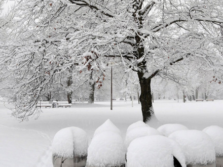 Foto vom Wöhrder See im Winter. Es liegt sehr viel Schnee., Bild © Christine Dierenbach / Stadt Nürnberg
