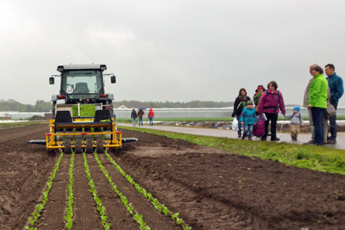 Traktor auf einem Feld im Knoblauchsland © Heike Bauer / Stadt Nürnberg