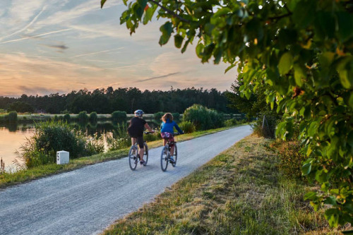 Zwei Radfahrer am Main-Donau-Kanal im Sommer.