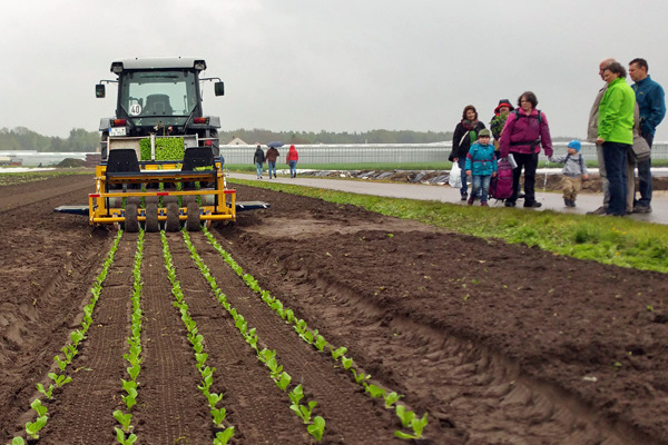Traktor auf einem Feld im Knoblauchsland