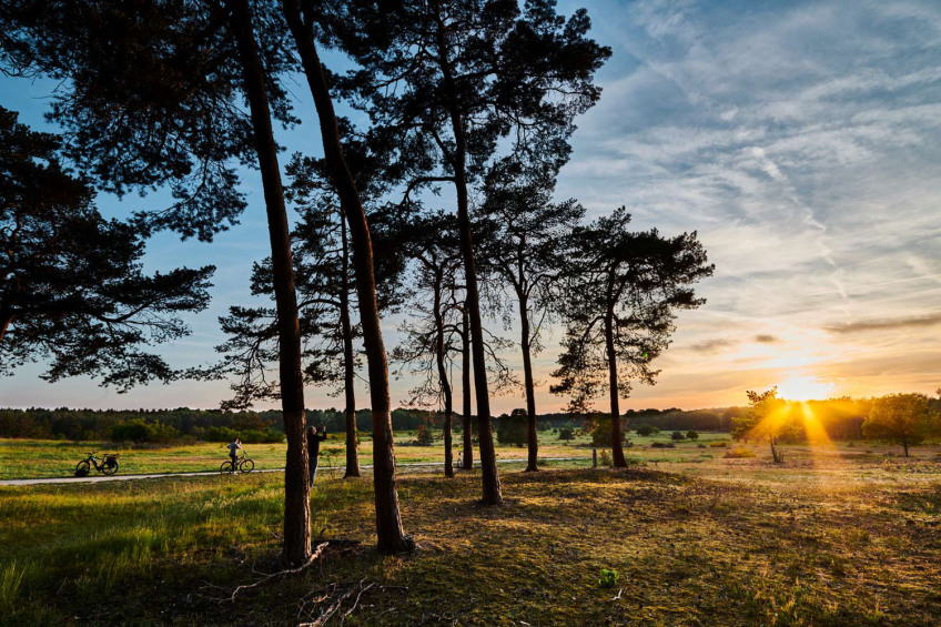 Sonnenuntergang im Hainberg., Bild © Gerhard Illig / Stadt Nürnberg