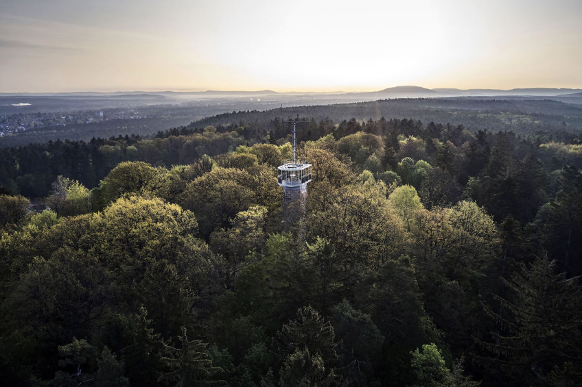Blick über den Nürnberger Reichswakld und den Schmausenbuckturm., Bild © Gerhard Illig / Stadt Nürnberg