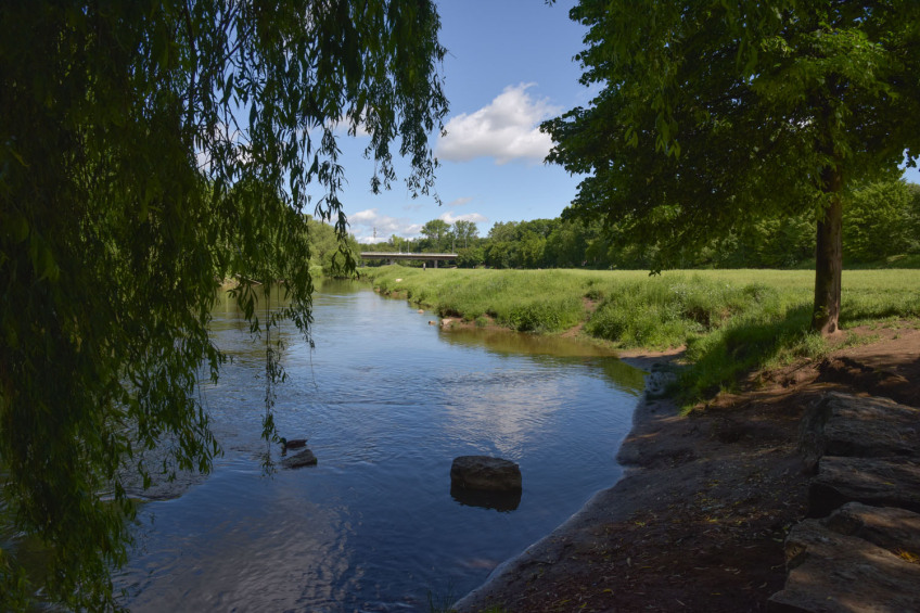 Ufer der Pegnitz im Pegnitztal West, Bild © Ohne Bildnachweis