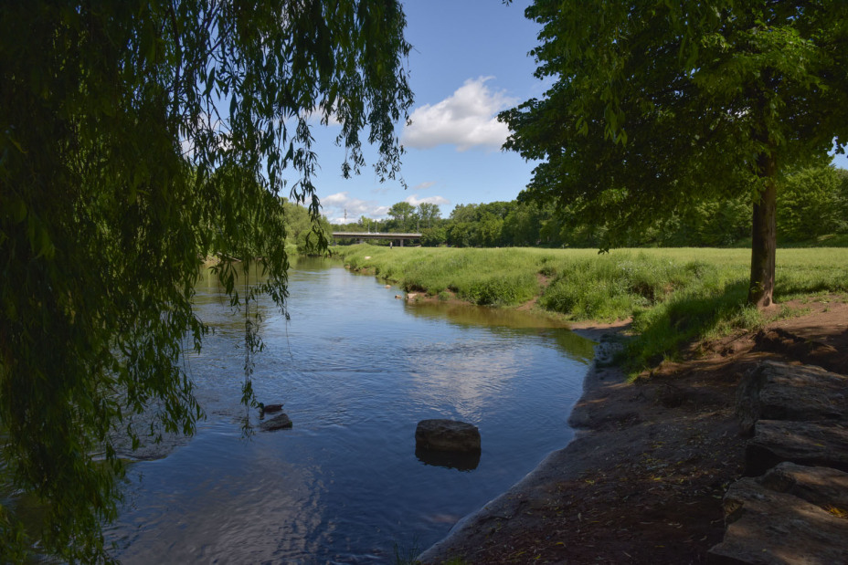 Am Ufer der Pegnitz im Pegnitztal West.