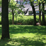 Park an der Willstraße in der Weststadt