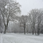 Blick auf die Liegewiese im Kontumazgarten bei Schneefall