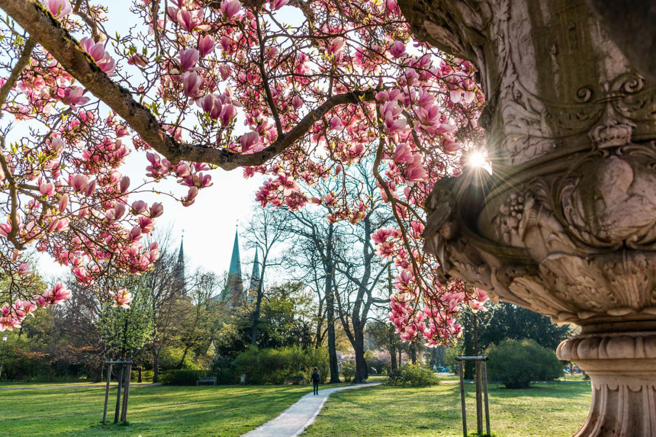 Bild © Gerhard Illig / Stadt Nürnberg Stadtpark im Frühling., Bild © Gerhard Illig / Stadt Nürnberg