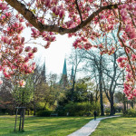 Stadtpark im Frühling.