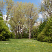 Marienbergpark