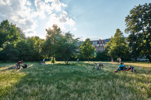 Rosenaupark im Sommer. © Gerhard Illig / Stadt Nürnberg