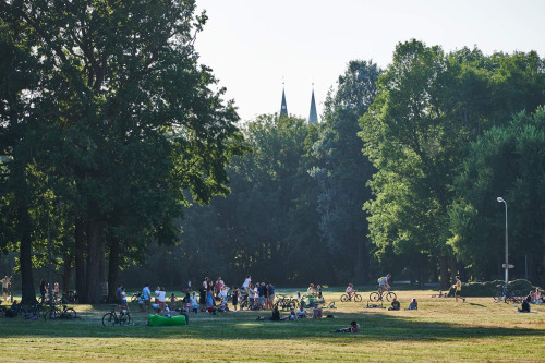 Wöhrder Wiese im Sommer.