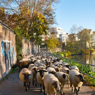 ( Bild: Simone Schiessl / Simone Schiessl ) Bis ins Pegnitztal West.