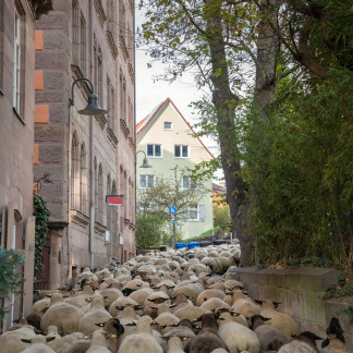 ( Bild: Simone Schiessl / Simone Schiessl ) Danach geht es weiter immer dem Lauf der Pegnitz folgend in Richtung Hallertor.
