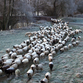 ( Bild: Gisa Treiber / Gisa Treiber / Stadt Nürnberg ) Im November ist es in Nürnberg Zeit für den