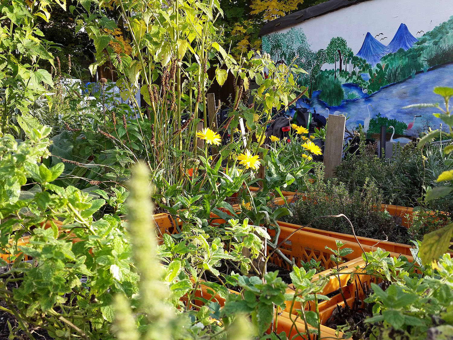 Urban Gardening In Nurnberg Stadtportal Nurnberg