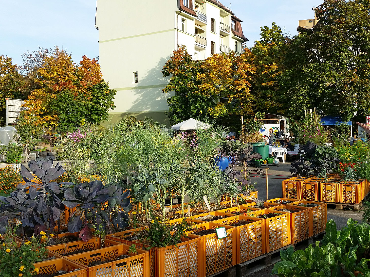 Schwarz, Weiß, Folie - Gartencenter / GrowShop Nürnberg » Urban GardenCenter