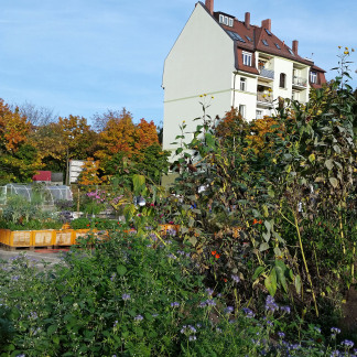 Erntefest im Stadtgarten