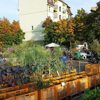 Erntefest im Stadtgarten