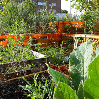 Erntefest im Stadtgarten