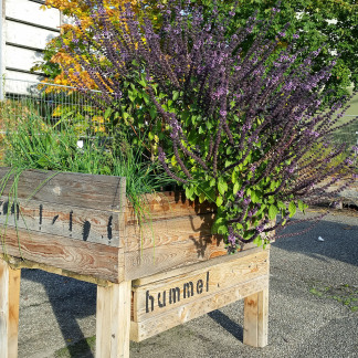 Erntefest im Stadtgarten