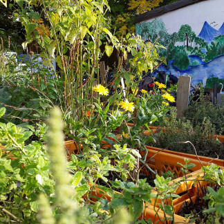 Erntefest im Stadtgarten