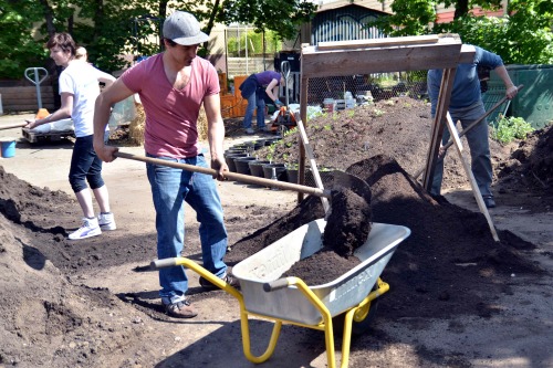 Gemeinschaftliche Gartenarbeit im Frühling im Stadtgarten.