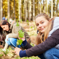 Eine junge Frau pflanzt einen Baumsetzling als Klimawandelbaum.