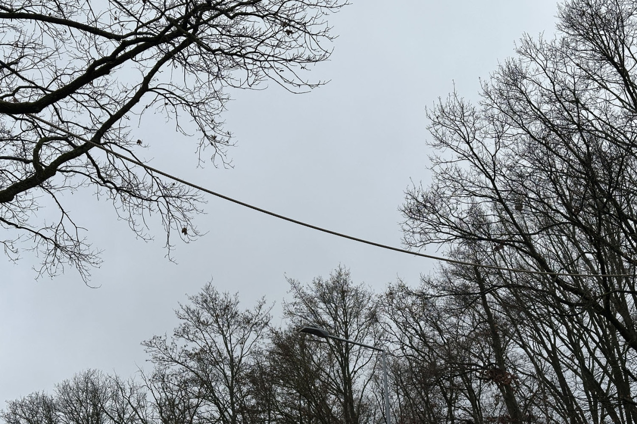Bild © Kathrin Brunner / Stadt Nürnberg Jetzt müssen nur noch die Eichhörnchen die Brücke fleißig nutzen., Bild © Kathrin Brunner / Stadt Nürnberg