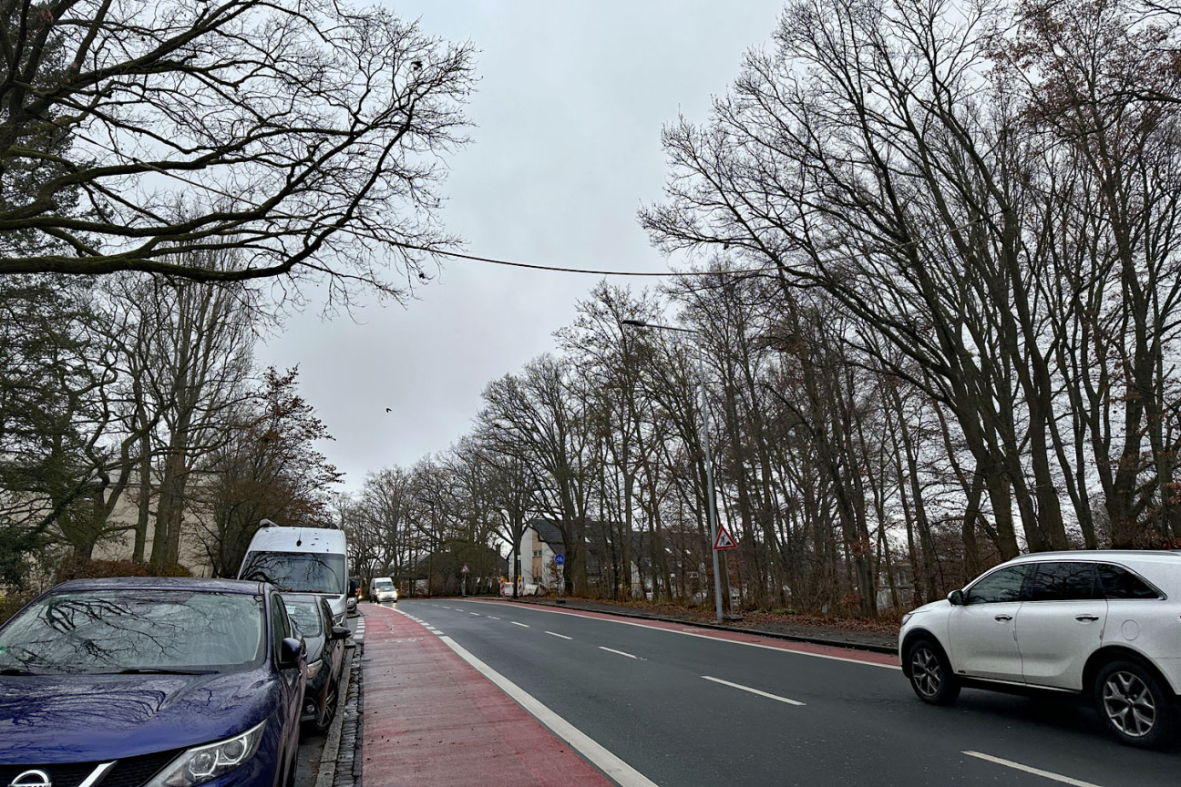 Bild © Kathrin Brunner / Stadt Nürnberg Nürnbergs erste Eichhörnchenbrücke über der Eichendorffstraße ist montiert., Bild © Kathrin Brunner / Stadt Nürnberg