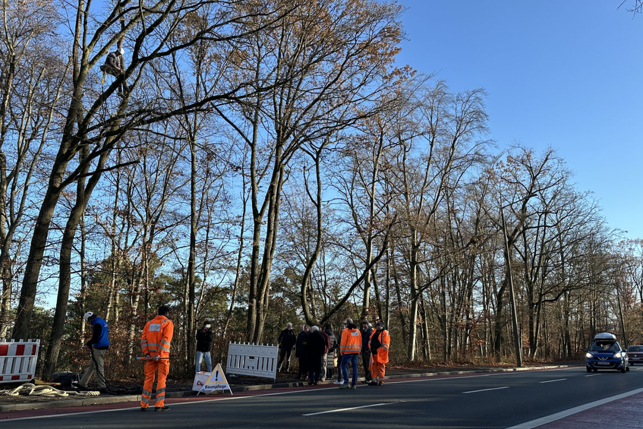 Bild © Johannes Sporrer / Stadt Nürnberg Für die Arbeiten musste die Eichendorffstraße kurzzeitig gesperrt werden., Bild © Johannes Sporrer / Stadt Nürnberg