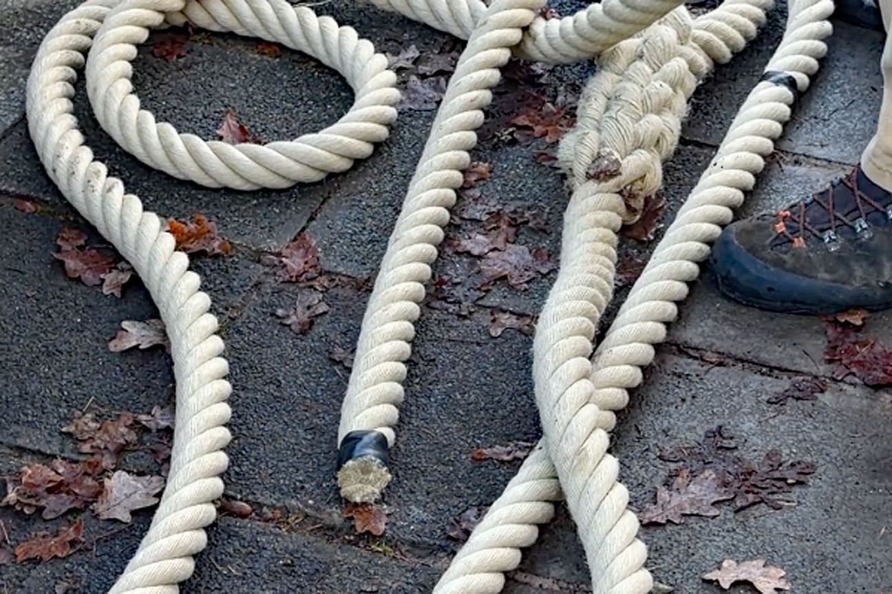 Bild © Johannes Sporrer / Stadt Nürnberg Ein dickes Seil dient als Eichhörnchenbrücke., Bild © Johannes Sporrer / Stadt Nürnberg