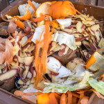 Bioabfall in der Biotonne