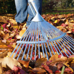 Ein Mann kehrt Herbstlaub mit einem Rechen zusammen.