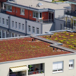 Begrüntes Flachdach auf einem Neubau.