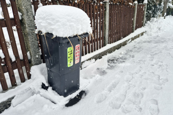 Volle Biotonne im Schnee.