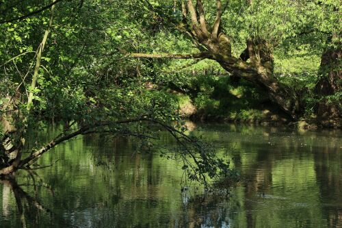 Von der Umweltstation zum Naturschutzgebiet – eine poetische Wanderung