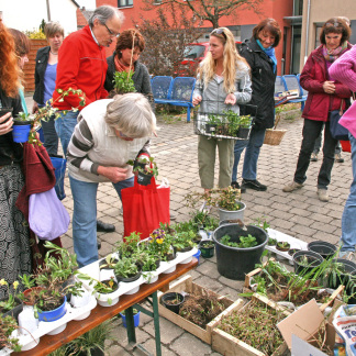 Pflanzentauschbörse Zabo