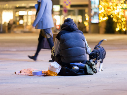 Foto von einem Menschen ohne Wohnung mit einem Hund.